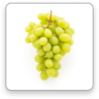Chardonnay